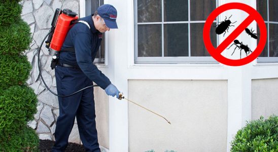 Kent 2 Akrep İlaçlama böcek ilaçlama ve haşere kontrolü — ilaclama-tr.com